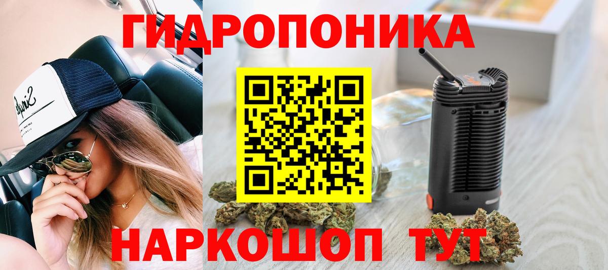 Чернушка  Канабис VHQ  Конопля OG Kush  Вход с VPN  МАРИХУАНА SATIVA & INDICA 
